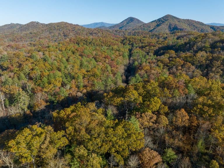 5.89 acres in Blount, TN